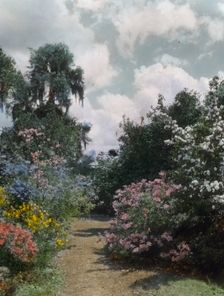 "Magnolia Plantation," 3550 Ashley River Road, Charleston, South Carolina, 1928. Creator: Frances Benjamin Johnston
