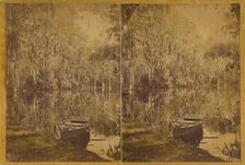 Magnolia - Residence of Rev. J.G. Drayton, on the Ashley River, 12 Miles from..., about 1875-1880. Creator: George N. Barnard