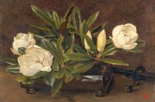 Magnolias 1867-1920. Creator: Alfred William Parsons