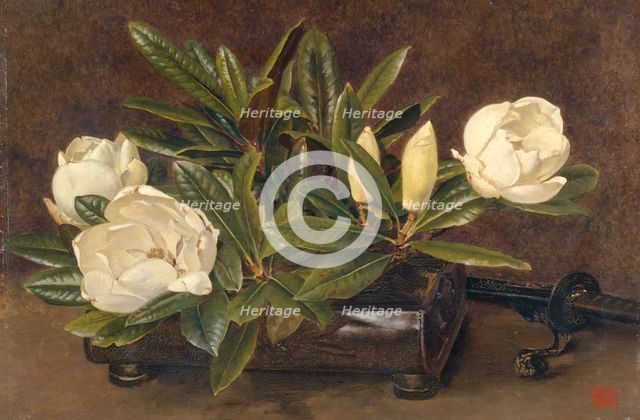 'Magnolias', 1867-1920. Creator: Alfred William Parsons.