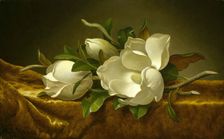 Magnolias on Gold Velvet Cloth, c. 1889. Artist: Heade, Martin Johnson (1819-1904)