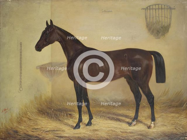 Magnifique Bay Horse, 1853. Creator: Alexander Schwabe.