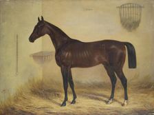 Magnifique Bay Horse, 1853. Creator: Alexander Schwabe