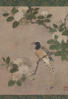 Magpie on Viburnum Branch, early 16th century. Creator: Genga