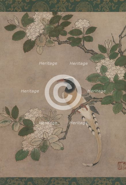 Magpie on Viburnum Branch, early 16th century. Creator: Genga.