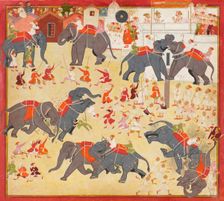 Maharana Raj Singh observing an elephant fight, ca. 1670-1675. Creator: Unknown
