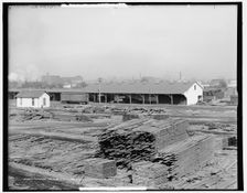 Mahogany mills of C.C. Mengel & Bro. Co., Louisville, Kentucky, c1906. Creator: Unknown