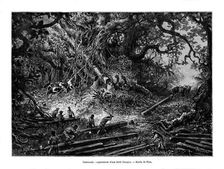 Mahogany tree logging, Guatemala, 19th century. Artist: Edouard Riou
