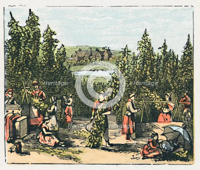 'Maidstone', c1910. Artist: Unknown.