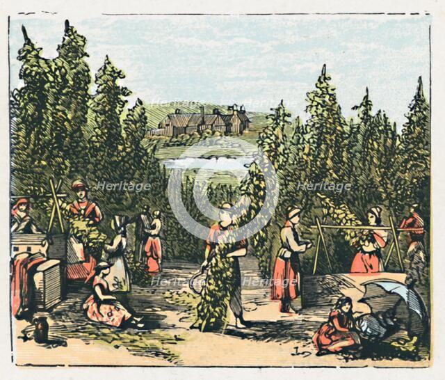 'Maidstone', c1910. Artist: Unknown.