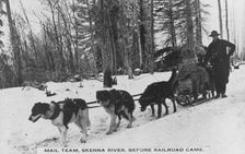 Mail team before railroad came, between c1900 and c1930. Creator: Unknown