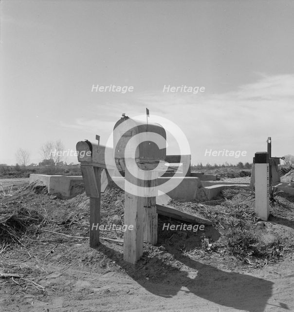 Mail boxes and irrigation gates, Imperial Valley, California, 1937. Creator: Dorothea Lange.