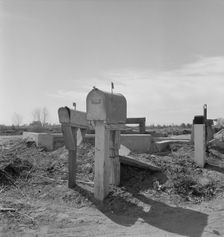 Mail boxes and irrigation gates, Imperial Valley, California, 1937. Creator: Dorothea Lange