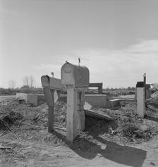 Mail boxes and irrigation gates, Imperial Valley, California, 1937. Creator: Dorothea Lange