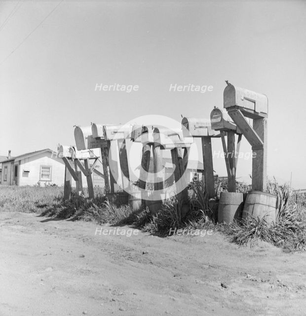 Mail boxes of lettuce workers. Settlement on outskirts of Salinas, California, 1939. Creator: Dorothea Lange.