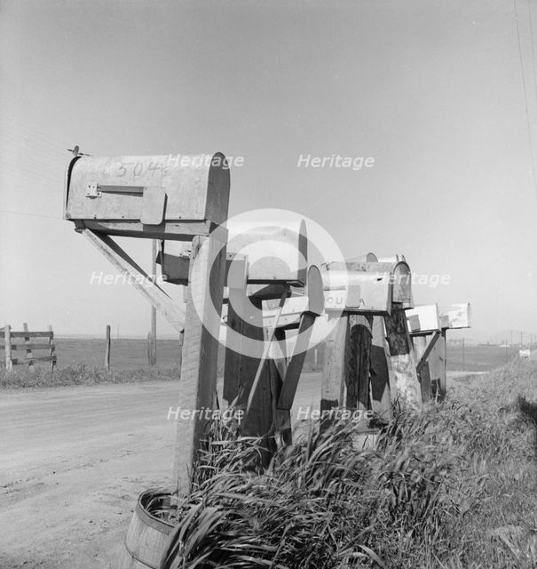 Mail boxes of lettuce workers. Settlement on outskirts of Salinas, California, 1939. Creator: Dorothea Lange.
