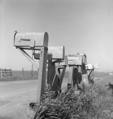Mail boxes of lettuce workers. Settlement on outskirts of Salinas, California, 1939. Creator: Dorothea Lange