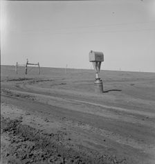 Mailbox in Dust Bowl, Coldwater District, north of Dalhart, Texas, 1938. Creator: Dorothea Lange