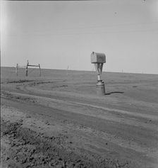 Mailbox in Dust Bowl, Coldwater District, north of Dalhart, Texas, 1938. Creator: Dorothea Lange