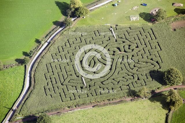 Maize Maze, Jowett House Farm, Cawthorne, Barnsley, South Yorkshire, c2015. Artist: Dave MacLeod.