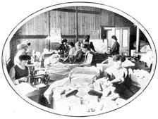 Making a great speciality: the "Selvyt" hemming and making-up room, 1909. Creator: Unknown