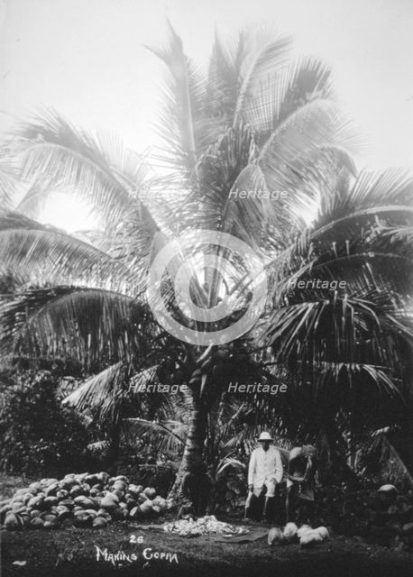 Making copra, Solomon Islands, Fiji, 1905. Artist: Unknown