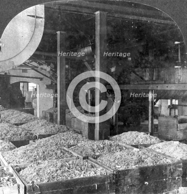 Making paper from rags, Holyoke, Massachusetts, USA, 20th century. Artist: Keystone View Company