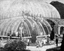 Making repairs to the Great Conservatory at Chatsworth, Derbyshire, late 19th century. Creator: Unknown