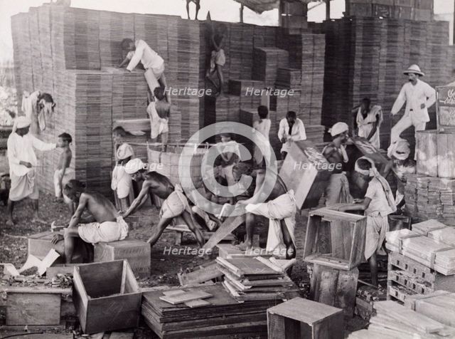 Making tea boxes, Bengal, c1920. Creator: Bourne & Shepherd.