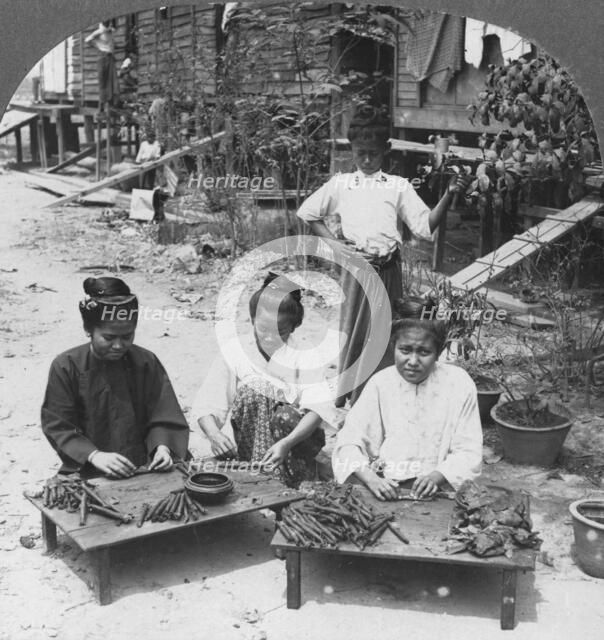 Making the huge cigars smoked by women, Burma, 1908. Artist: Stereo Travel Co