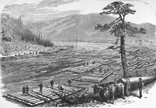 Making Up Rafts on the Susquehanna River. A Scene on the Line of the Erie Railroad 1883