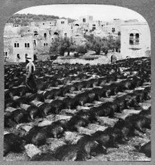 Making wine bottles, Hebron c1900