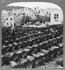 Making wine bottles, Hebron c1900