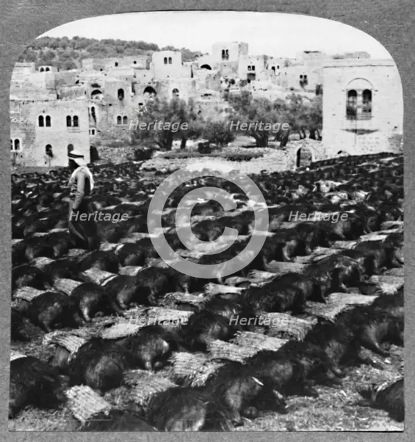 'Making wine bottles, Hebron', c1900. Artist: Unknown.