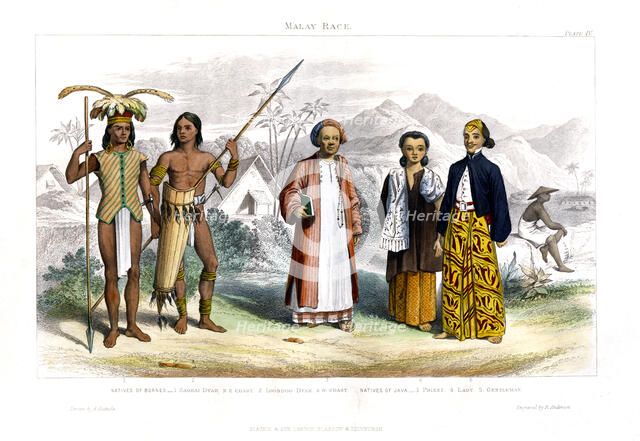 'Malay Race', 1800-1900.Artist: R Anderson