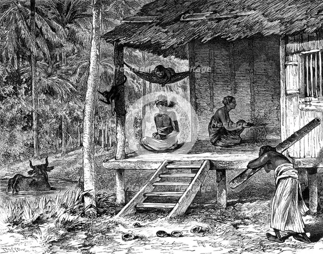Malaysian hut, 19th century. Artist: Dosso