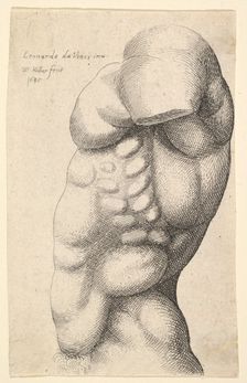 Male torso from neck to hip in profile to left, 1645. Creator: Wenceslaus Hollar