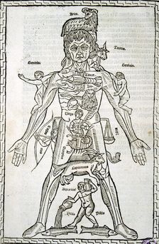 Male body with signs of the Zodiac, sheet in the work Epilogue of medicine and surgery suitable …