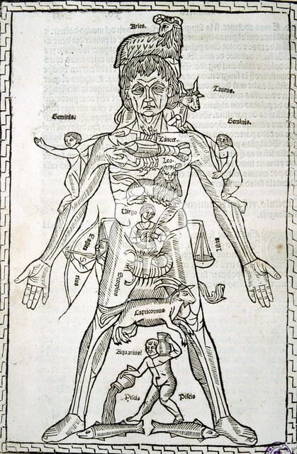 Male body with signs of the Zodiac, sheet in the work 'Epilogue of medicine and surgery suitable …