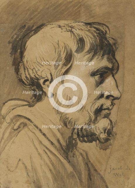 Male head, profile, unknown date. Creator: Anon.
