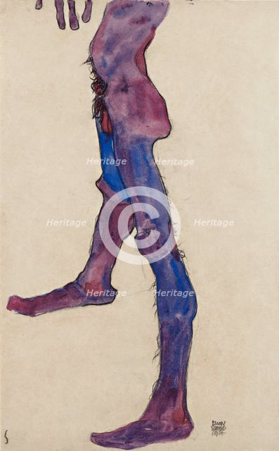 Male Lower Torso.