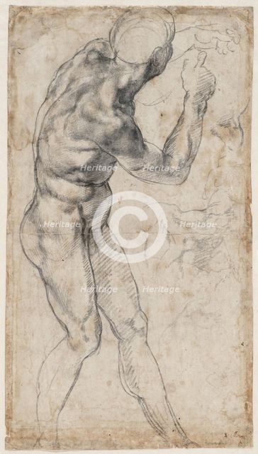 Male nude, turning to the right, 1504 or 1506. Creator: Buonarroti, Michelangelo (1475-1564).
