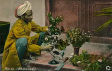 Malee (Gardener) c1900