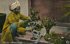 Malee (Gardener) c1900