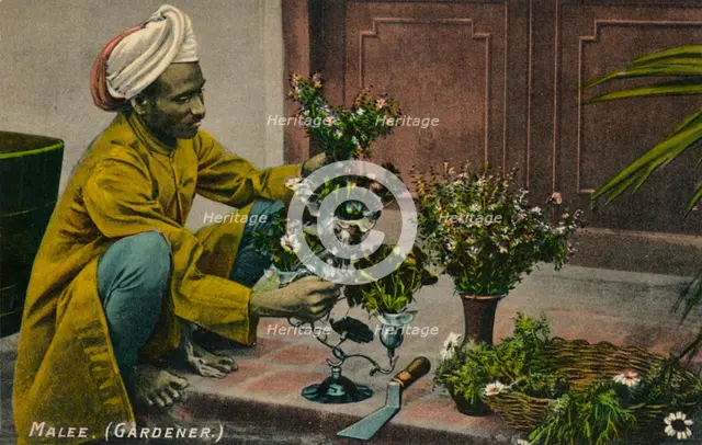 'Malee (Gardener)', c1900. Artist: Unknown.