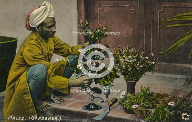 'Malee (Gardener)', c1900. Artist: Unknown.