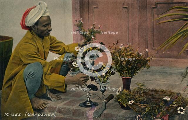 'Malee. (Gardener)', c1910. Creator: Unknown.