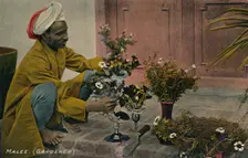 Malee. (Gardener) c1910. Creator: Unknown