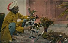 Malee. (Gardener) c1910. Creator: Unknown