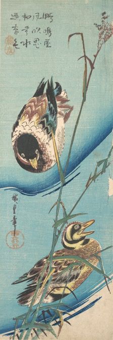 Mallard Ducks and Snow-covered Reeds , ca. 1843., ca. 1843. Creator: Ando Hiroshige